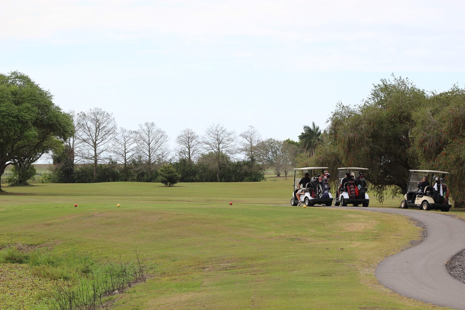 Golf Okulu